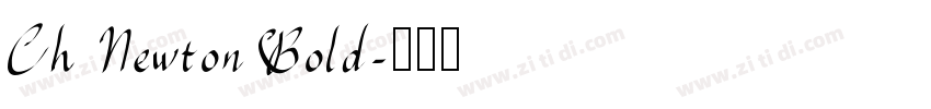 Ch Newton Bold字体转换